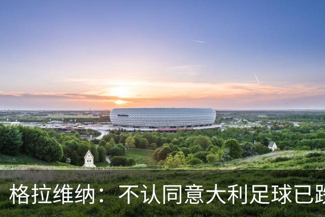 格拉维纳：不认同意大利足球已跌至最低点 对未晋级世界杯失望